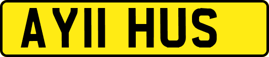 AY11HUS