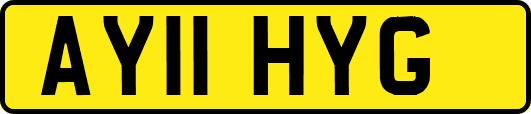 AY11HYG
