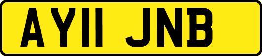 AY11JNB