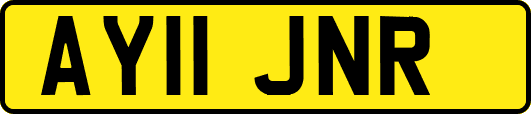 AY11JNR