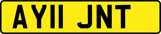 AY11JNT