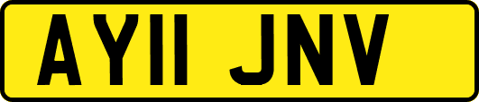 AY11JNV