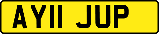 AY11JUP