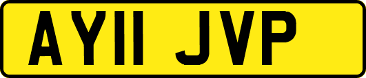AY11JVP