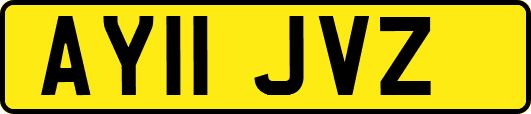 AY11JVZ