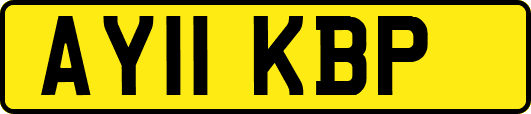 AY11KBP