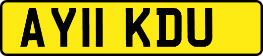 AY11KDU