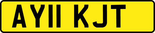 AY11KJT