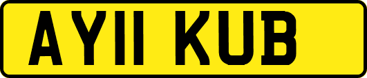AY11KUB