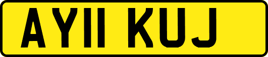 AY11KUJ