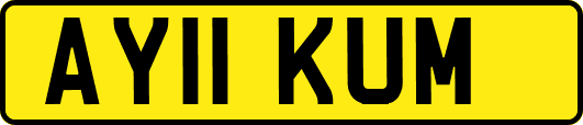 AY11KUM