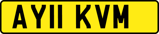 AY11KVM