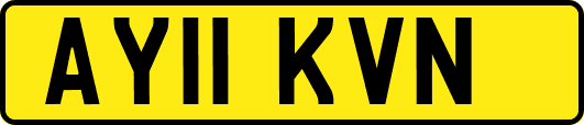AY11KVN
