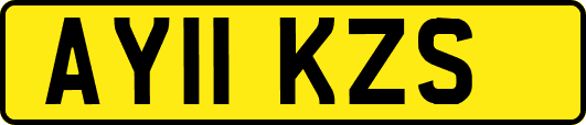 AY11KZS
