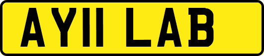 AY11LAB