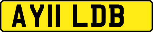 AY11LDB