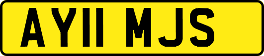 AY11MJS