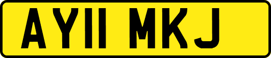 AY11MKJ