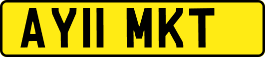 AY11MKT