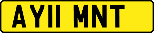 AY11MNT