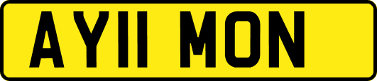 AY11MON