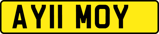 AY11MOY