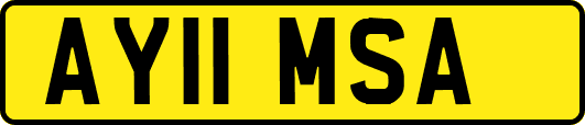 AY11MSA