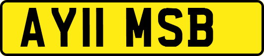 AY11MSB