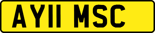 AY11MSC