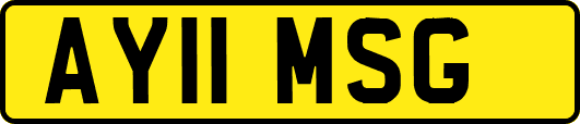 AY11MSG