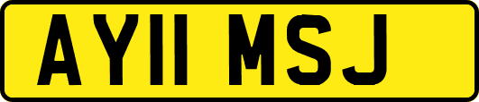 AY11MSJ