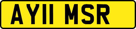 AY11MSR