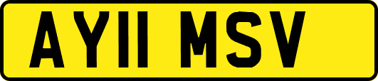 AY11MSV