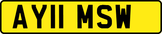 AY11MSW