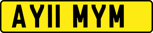 AY11MYM