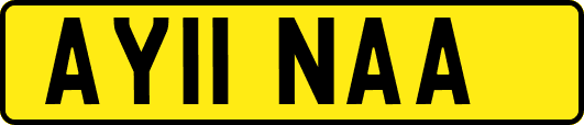 AY11NAA