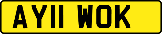AY11WOK