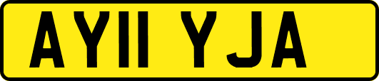 AY11YJA