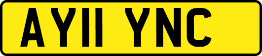 AY11YNC