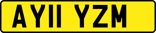 AY11YZM