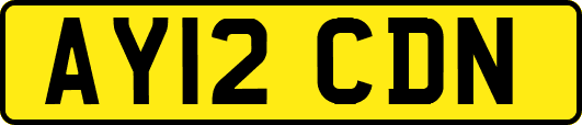 AY12CDN