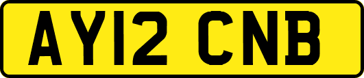AY12CNB
