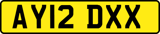AY12DXX