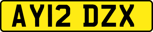 AY12DZX