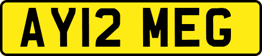AY12MEG