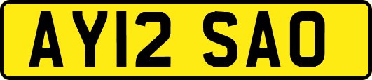 AY12SAO
