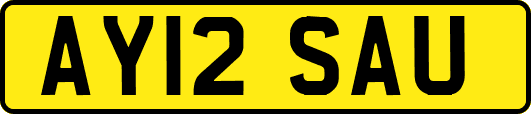 AY12SAU