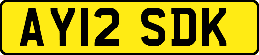 AY12SDK