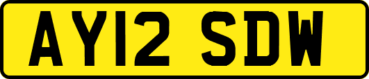 AY12SDW