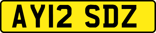 AY12SDZ